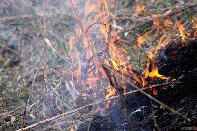 В шести областях Украины зафиксировано возгорание сухой травы