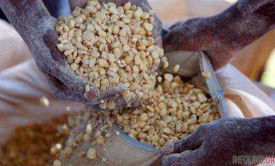 Кения решила закупить у Украины 450 тысяч тонн кукурузы