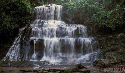 В Гане на популярных водопадах Кинтампо падающее дерево убило 19 человек