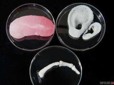 Шведские ученые распечатали на 3D-принтере хрящевую ткань человека