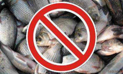 В Украине начал действовать запрет на вылов рыбы