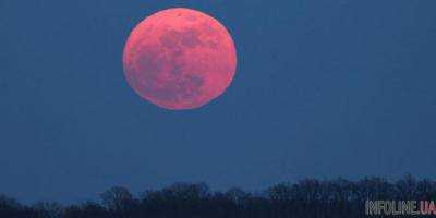 Розовая Луна 11 апреля: астрологи рекомендуют воспользоваться этим явлением