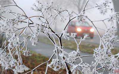 В Украине сегодня прогнозируют заморозки