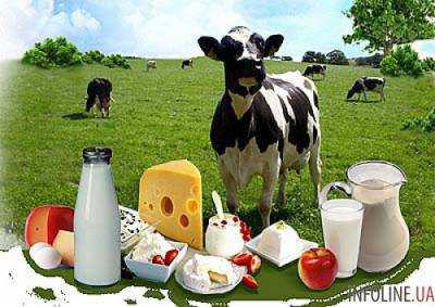 Украина значительно увеличила экспорт молочной продукции