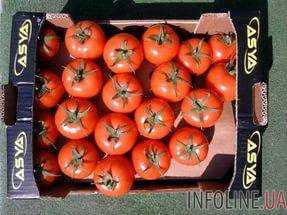 В грузах турецких томатов в Украине выявлен карантинный организм