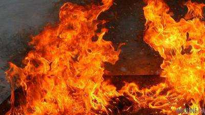 В Украине о чрезвычайном уровне пожарной опасности предупредили спасатели