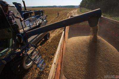 С начала года Украина экспортировала пшеницы на более чем 690 млн долл.