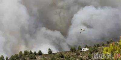 Лес загорелся рядом с пляжем на острове Ибица, эвакуировали около 60 человек