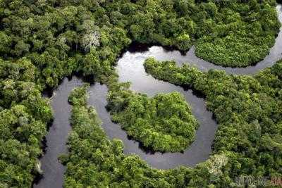 Ученые предупредили о катастрофе в бассейне Амазонки