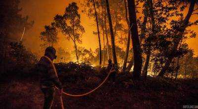 Из-за лесных пожаров в Португалии погибли уже 57 человек