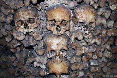 В Мехико обнаружили ужасную находку: башня из человеческих черепов