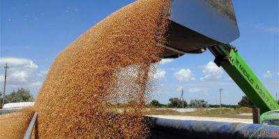 Украина экспортировала 43,8 млн тонн зерна за 2016/2017 маркетинговый год