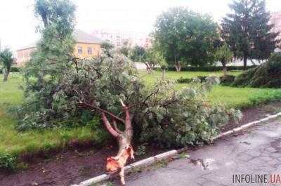 В Черкасской области ураган нанес ущерб почти на 400 млн гивен