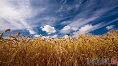Украинские аграрии к 12 июля экспортировали 575 тыс. тонн зерновых
