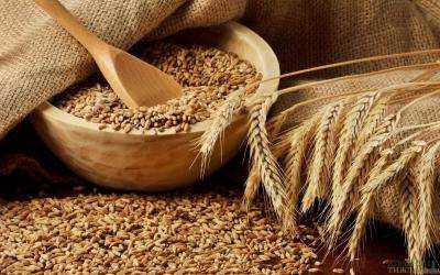 Украинские аграрии к 14 июля намолотили 6,5 млн тонн зерновых – Минагропрод