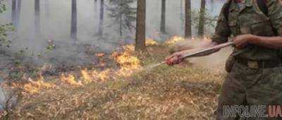 В Голопристанском районе Херсонской области горит лес на площади около 10 гектаров