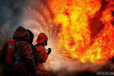 С начала года из-за пожаров в Украине погибли 953 человека