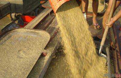 Украинские аграрии к 19 июля экспортировали 1,25 млн тонн зерновых – Минагропрод