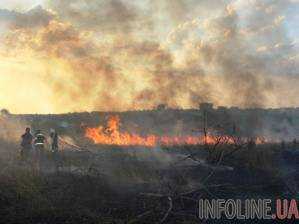 В Херсонской области более 20 часов спасатели укрощают лесной пожар