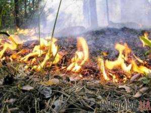 В десяти областях Украины ожидается чрезвычайная пожарная опасность
