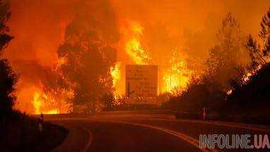 Лесные пожары снова охватили Корсику и Португалию