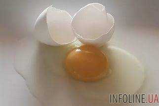 В Испании обнаружили 20 тысяч тонн жидких яиц, зараженных фипронилом