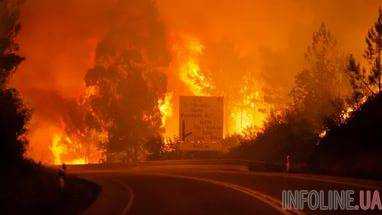 В Португалии из-за лесных пожаров пострадало 45 человек