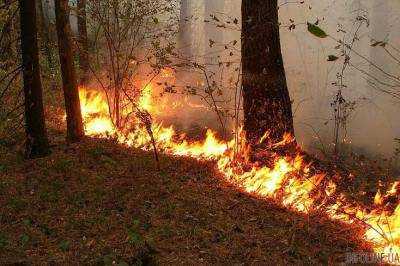 В природных системах Запорожской области за сутки ликвидировали 91 пожар