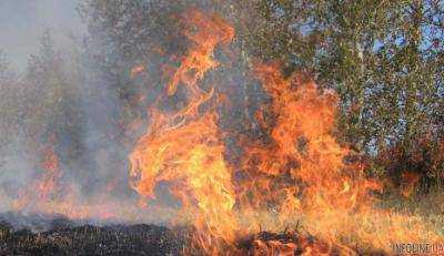Спасатели объявили чрезвычайную пожарную опасность в 14 областях Украины