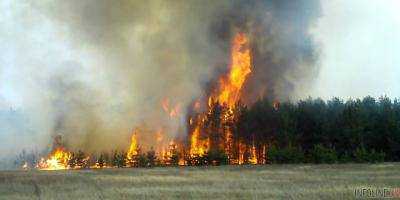 Масштабный пожар в Днепропетровской области ликвидирован