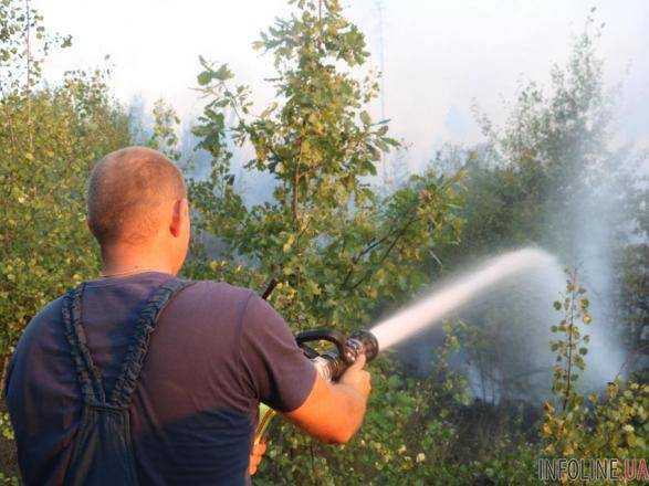 В Киеве на Броварском проспекте загорелась трава, пожар локализовано