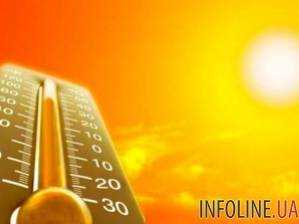 Максимальная температура воздуха этим летом достигла 40 градусов