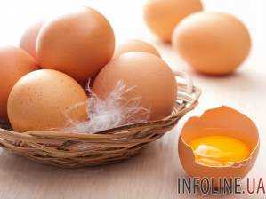 Зараженные фипронилом яйца обнаружили в 45 странах мира