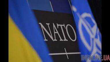Вопрос членства в НАТО раскалывает общество