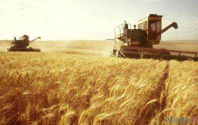 Украина экспортировала 11,7 млн тонн зерна
