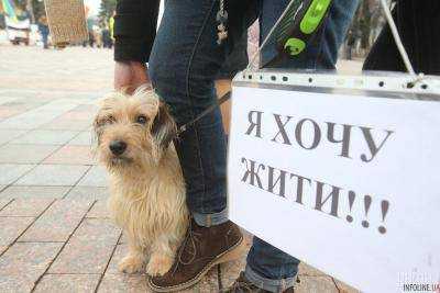 Жители Западной Украины присоединились к маршу за права животных