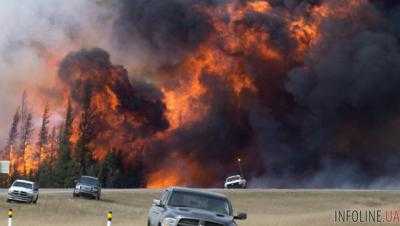 Из-за масштабных пожаров в Португалии и Испании погибло уже 45 человек