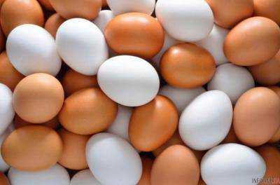 Киевлянин украл с птицефермы яиц почти на миллион гривен
