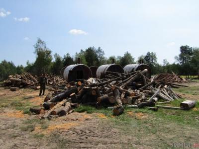 На Волыни нелегально изготовляли и отправляли в Польшу древесный уголь