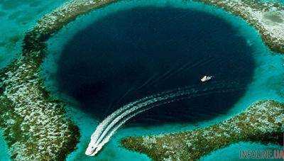 Ученые узнали, что скрывает "голубая дыра" у берегов Австралии