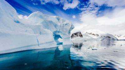 Неожиданная находка в Антарктиде: ученые шокировали мир