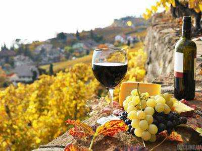 "Закарпатское божоле": ужгородцы продегустировали вина 40 виноделов