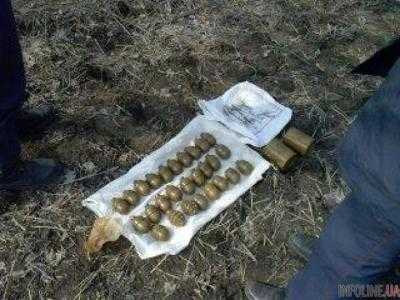 В Донецкой области в лесополосе мужчина нашел 22 гранаты