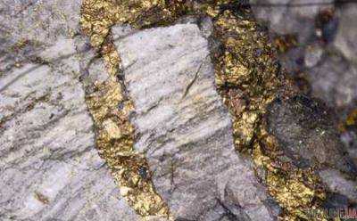 В Украине нашли крупное месторождение золота