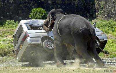 В Африке слон напал на автомобиль с туристами.Видео