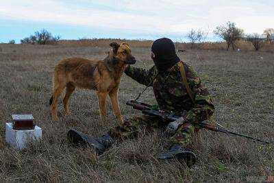 Четырехлапые смертники: как боевики используют животных в войне против украинцев