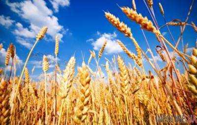 Экспорт зерновых в начале года упал почти на 8%