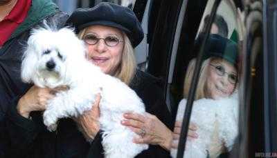 Барбара Стрейзанд дважды клонировала свою собаку