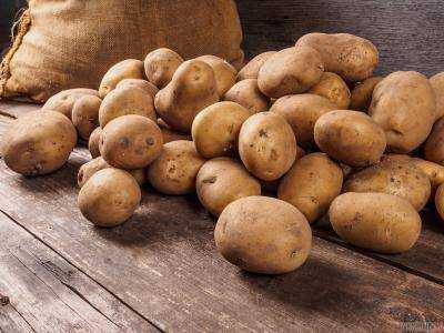 Больше всего украинского картофеля в прошлом году купила Беларусь