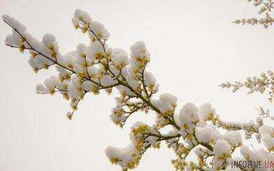 До весны.. в апреле в Украине выпадет снег